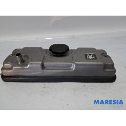 Peugeot - 206 PLUS - Kleppendeksel