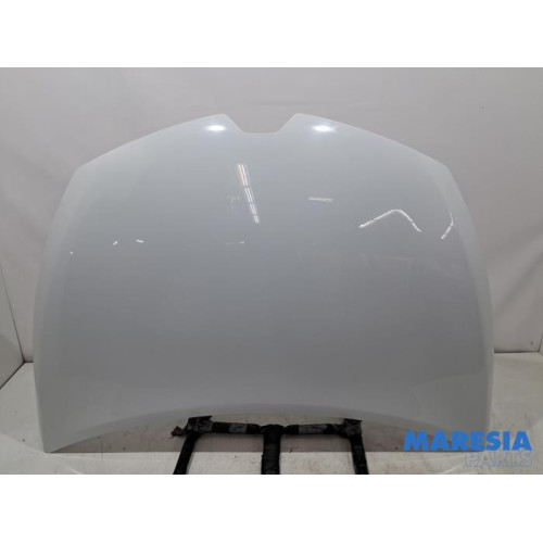 Renault - Clio - Motorkap