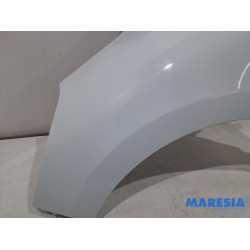 Renault - Clio - Kotflügel links vorne