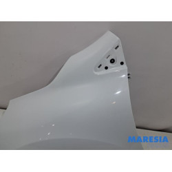 Renault - Clio - Kotflügel links vorne