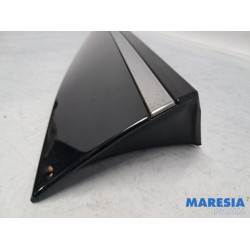 Renault - Clio - Door strip