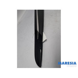 Renault - Clio - Door strip