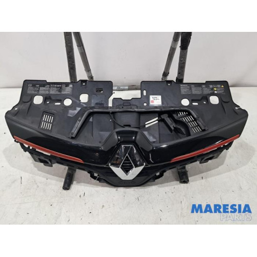 Renault - Clio - Grill