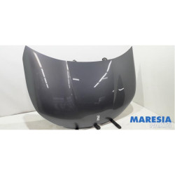 Citroen - DS4 - Motorhaube