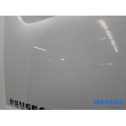 Peugeot - Expert - Hecktür Bus-Lieferwagen