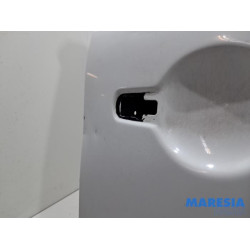 Peugeot - Expert - Portière arrière camionnette