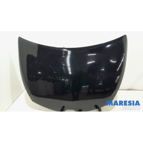 Renault - Clio - Motorhaube