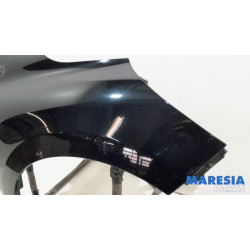 Renault - Clio - Kotflügel rechts vorne