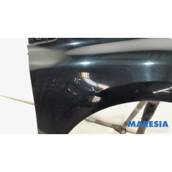 Renault - Clio - Kotflügel rechts vorne