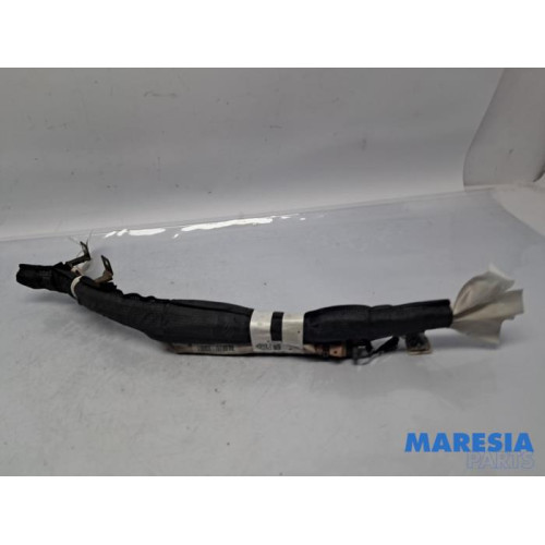 Renault - Trafic - Airbag hemel rechts