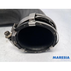 Peugeot - Expert - Intercooler hose