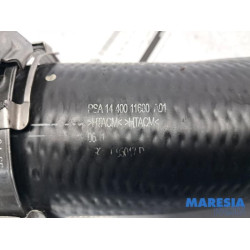 Peugeot - Expert - Intercooler hose