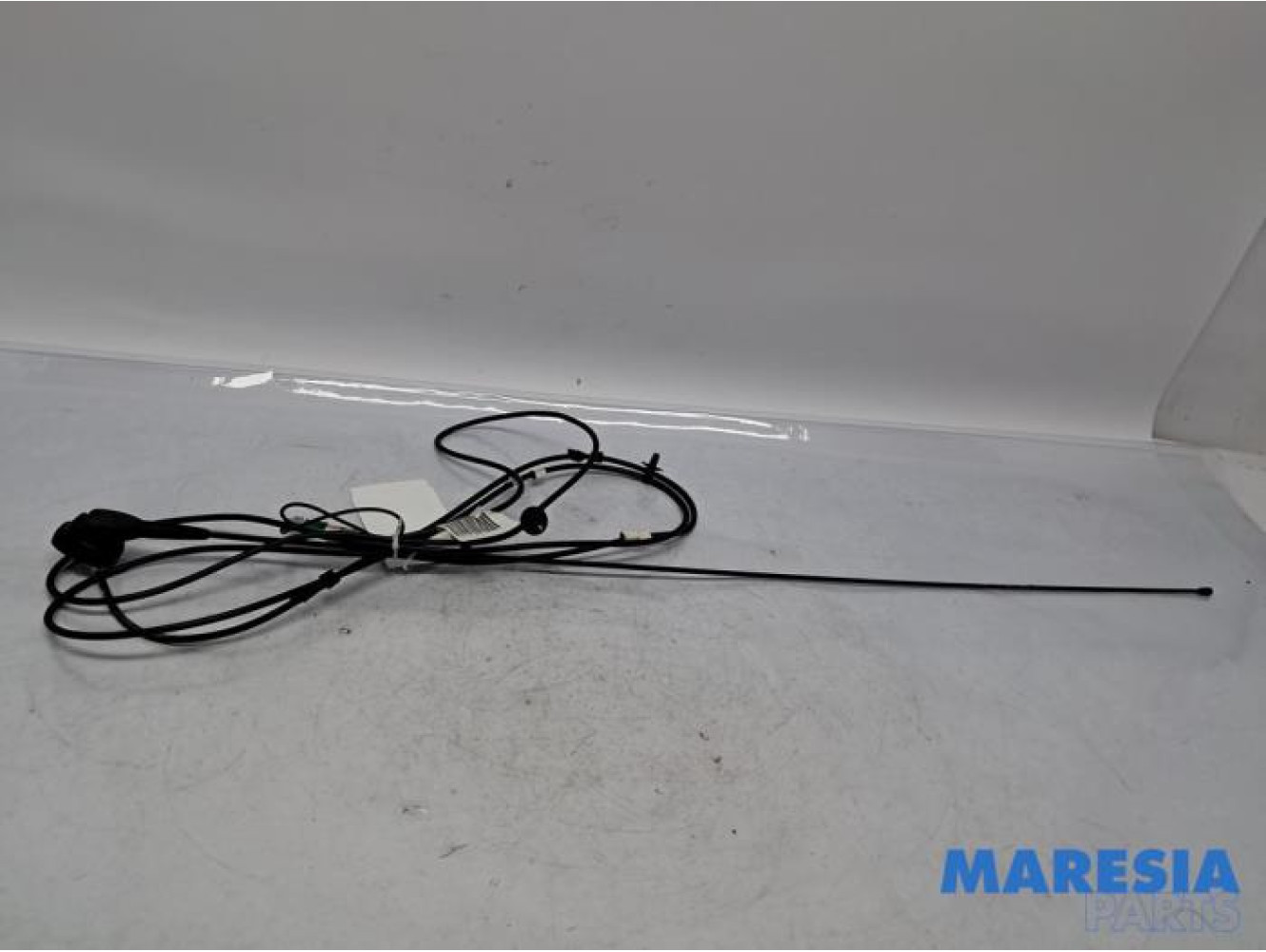 Peugeot - Expert - Antenne