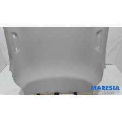 Renault - Megane - Dachverkleidung