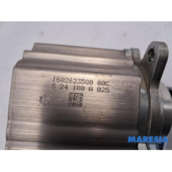 Citroen - C4 Picasso - Kraftstoffpumpe Mechanisch