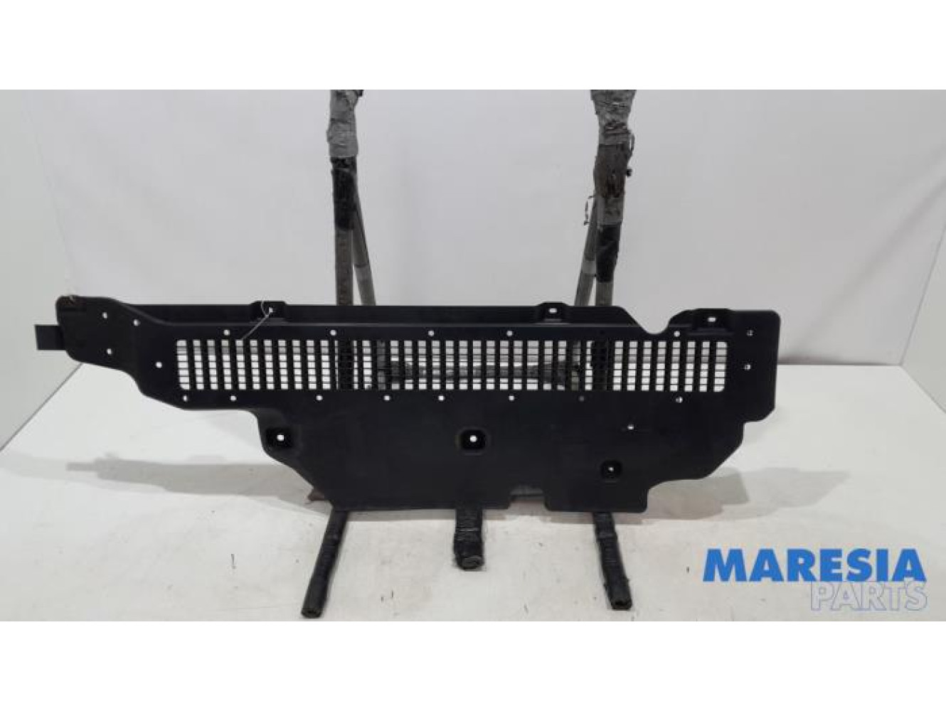 Renault - Clio - Beschermplaat bodem