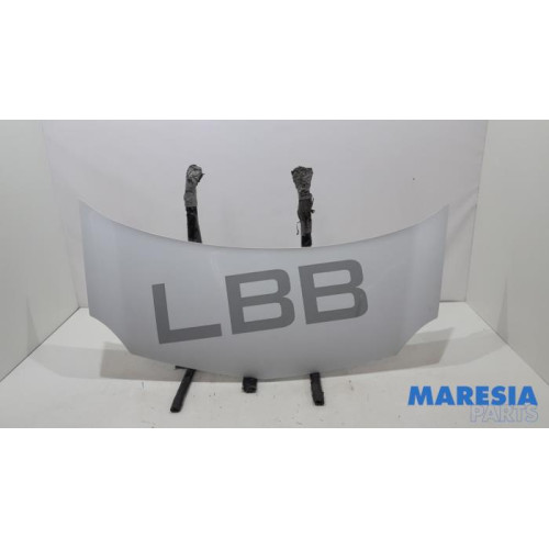 Renault - Kangoo - Capot