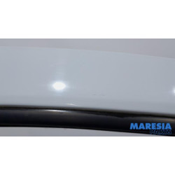 Renault - Kangoo - Door 2-door, right