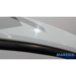 Renault - Kangoo - Door 2-door, right