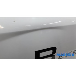 Renault - Kangoo - Door 2-door, right