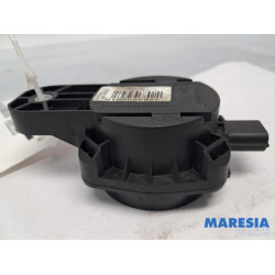 Renault - Clio - Horn