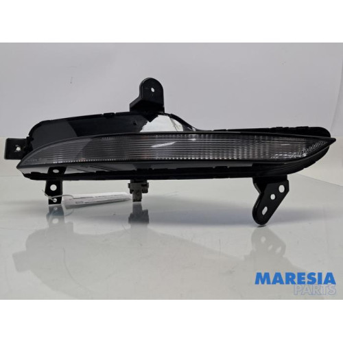 Renault - Megane - Indicator, right