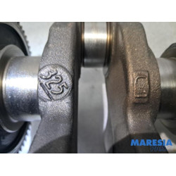 Citroen - C3 - Krukas