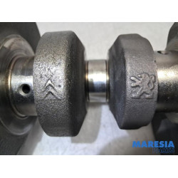 Citroen - C3 - Krukas