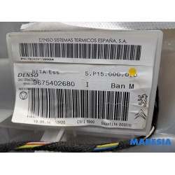 Citroen - C4 Picasso - Kachelhuis