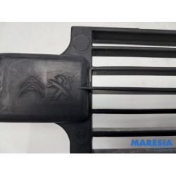 Citroen - C4 Picasso - Luft Leitung