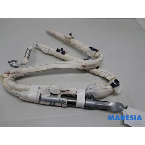 Renault - Megane - Airbag hemel links