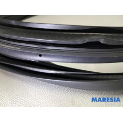 Renault - Megane - Portierrubber 4Deurs rechts-voor