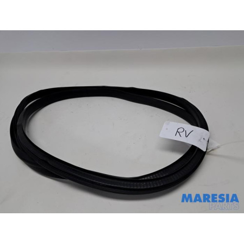 Renault - Megane - Portierrubber 4Deurs rechts-voor