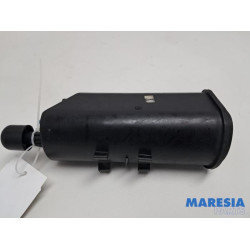 Renault - Megane - Filtre carbone