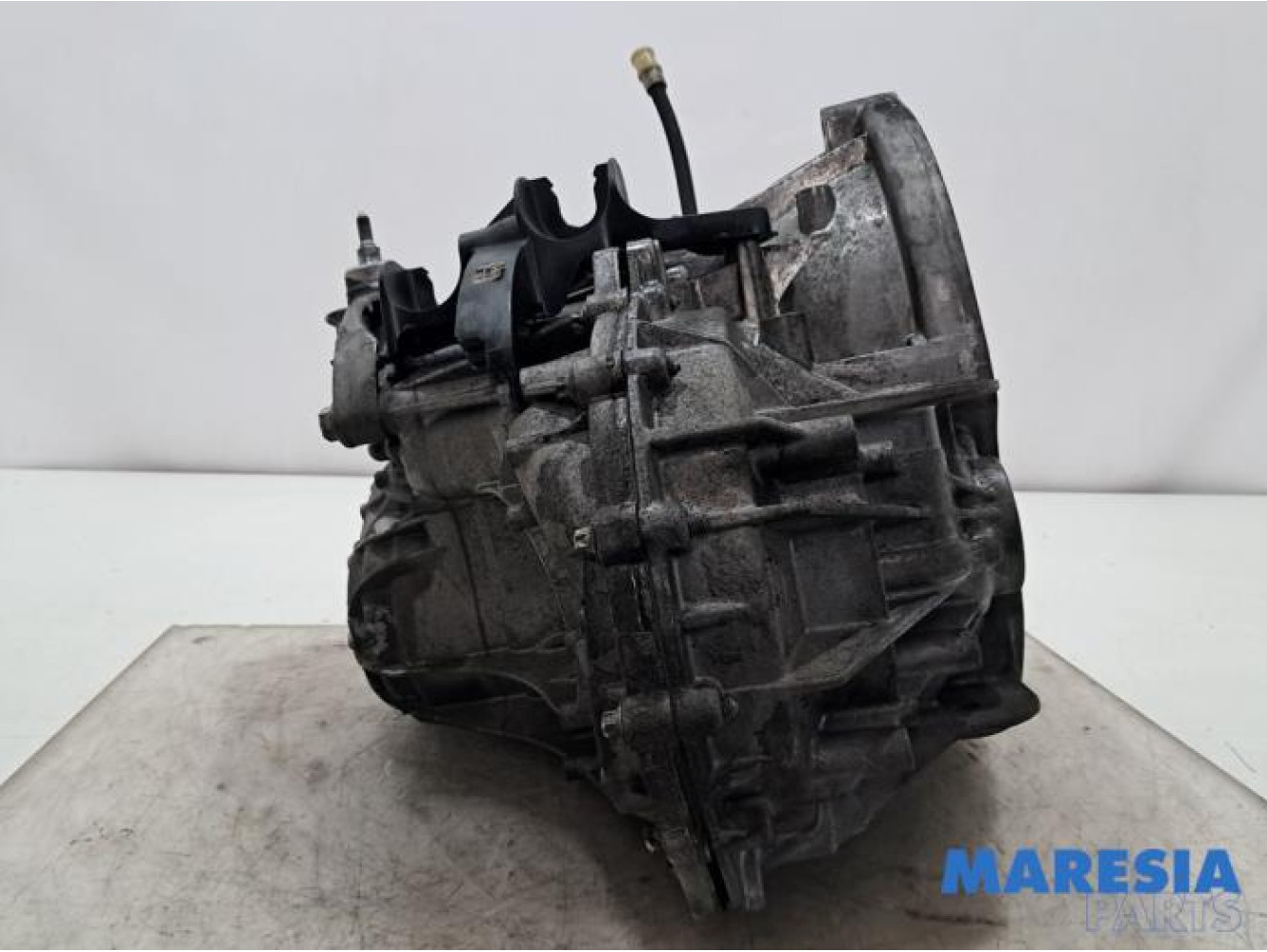 Fiat - Talento - Getriebe