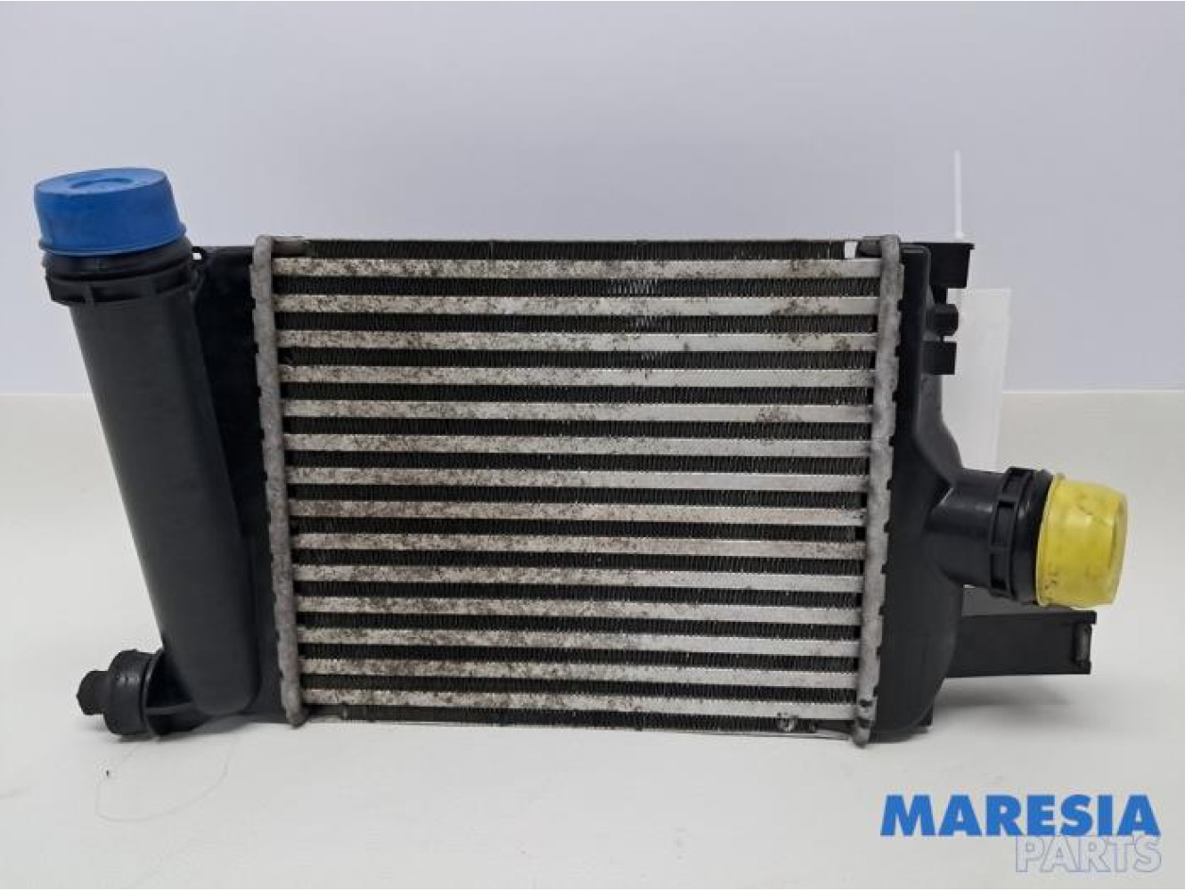 Renault - Clio - Ladeluftkühler