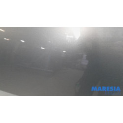 Peugeot - 207 - Door 2-door, left