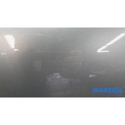 Peugeot - 207 - Door 2-door, left