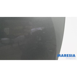 Peugeot - 207 - Door 2-door, left