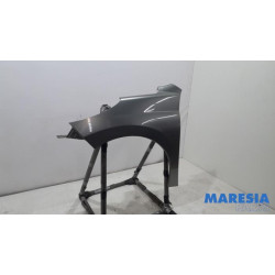 Peugeot - 207 - Kotflügel links vorne