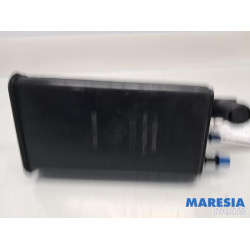 Renault - Clio - Carbon filter