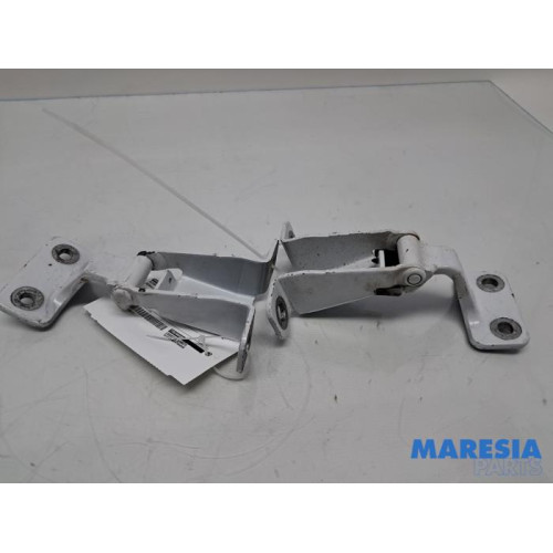 Renault - Kangoo - Charnière porte arrière gauche