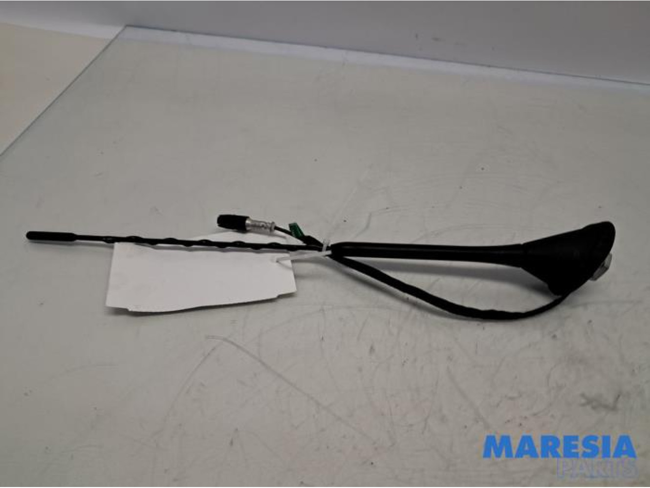 Fiat - 500 - Antenne