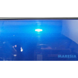 Citroen - C4 Grand Picasso - Rear door 4-door, left