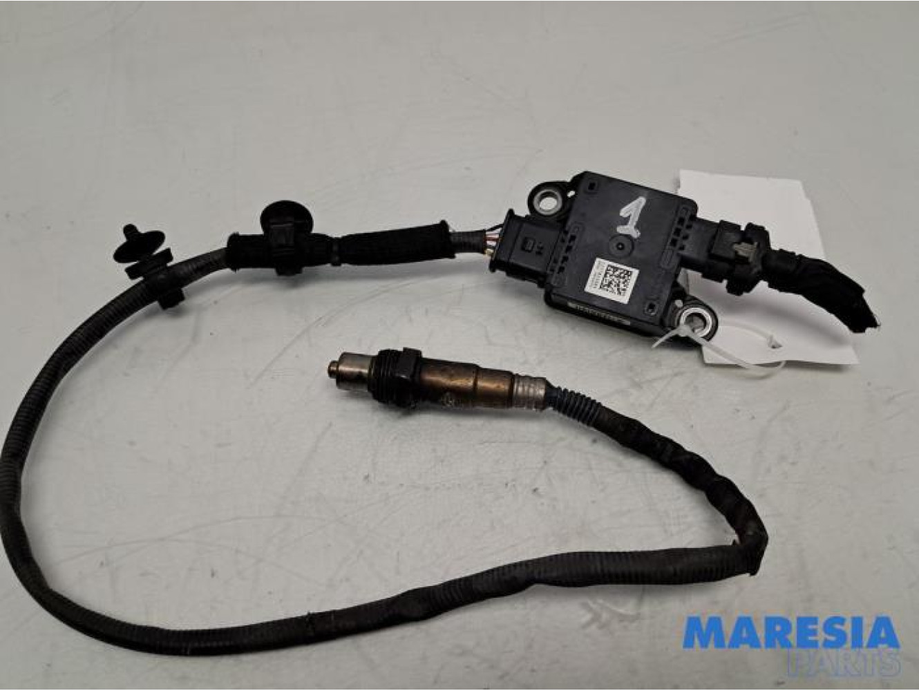 Fiat - Talento - Nox sensor