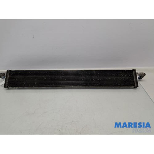 Renault - Trafic - Radiateur