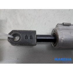 Peugeot - 207 - Cabriodak cilinder