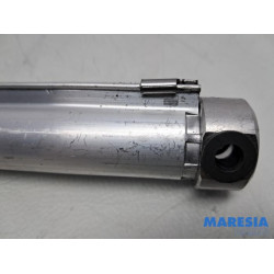 Peugeot - 207 - Cabriodak cilinder