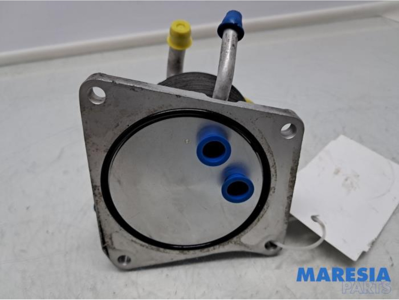 Renault - Grand Scenic - Ölkühler