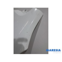 Opel - Vivaro - Kotflügel rechts vorne